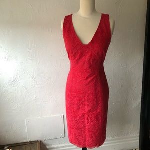 Tory Burch Cameron Scalloped Hem Lace Dress